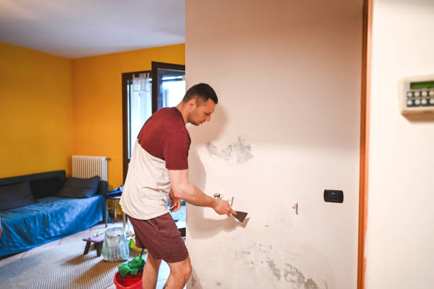 Best Commercial Mold Remediation in Cohasset, MN
